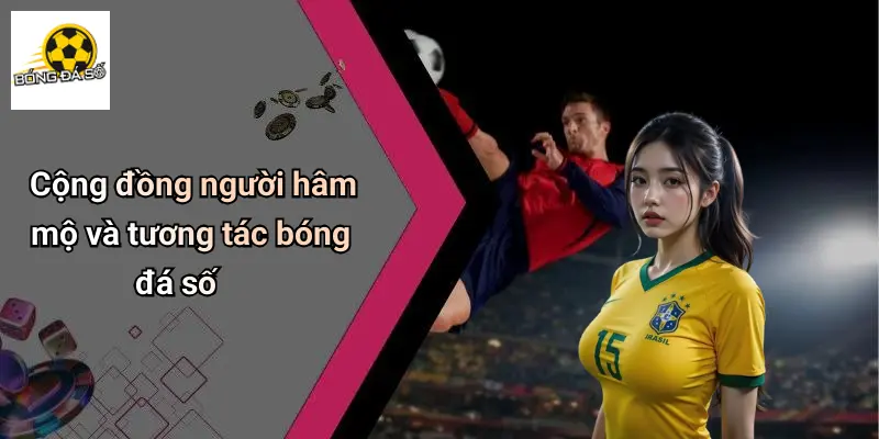 Tin Tức Bóng Đá