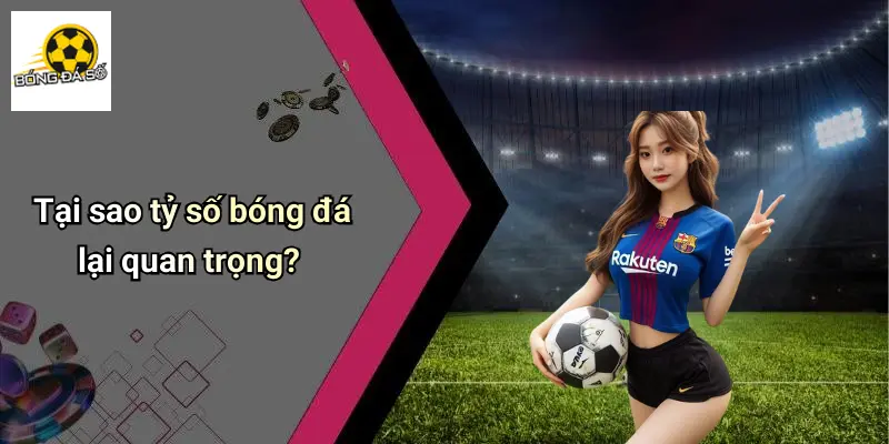 Tỷ số bóng đá 1 Tỷ Số Bóng Đá