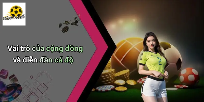 Cách Bắt Kèo Bóng Đá: Chiến Lược Phân Tích Và Thực Hành 4 Cách Bắt Kèo Bóng Đá